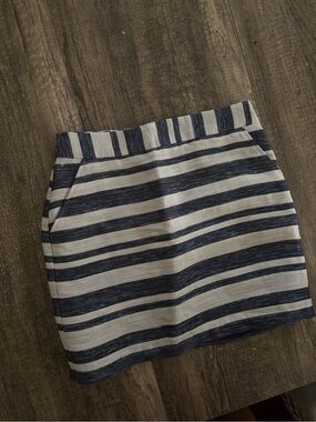 Striped Navy and White Mini Skirt